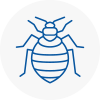 Bed Bug Extermination In Lofthouse