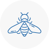 Bee Nest Removal Lofthouse