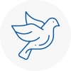 Bird Prevention Lofthouse