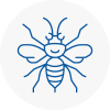 Lofthouse Hornet Nest Removals