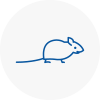 Mice Exterminators In Lofthouse