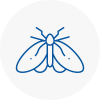 Moth Control Specialists In Lofthouse