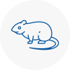 Rat Control Lofthouse