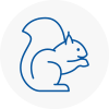 Lofthouse Rodent Removals