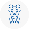 Lofthouse Wasp Nest Removal